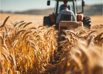 The Future of Farming:Innovations Shaping Agriculture